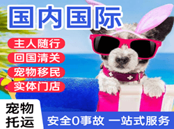 泰州机场快运国际宠物托运 【国